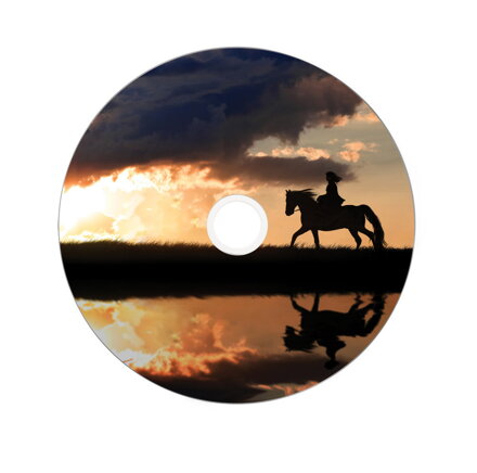 Verbatim DVD+R DL 8X 8,5GB Print Cake 25