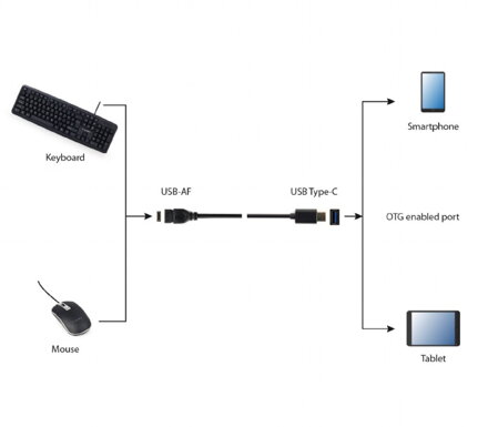 Gembird átalakító kábel USB 3.0 OTG Type-C (CM/AF)
