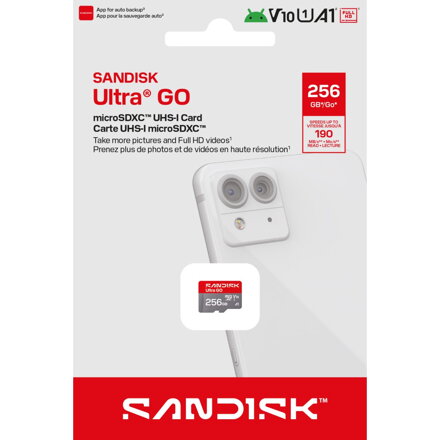 SanDisk microSDXC Ultra GO 256GB (UHS-I, V10, U1, C10, A1, 190 MB/s, Full Video HD)