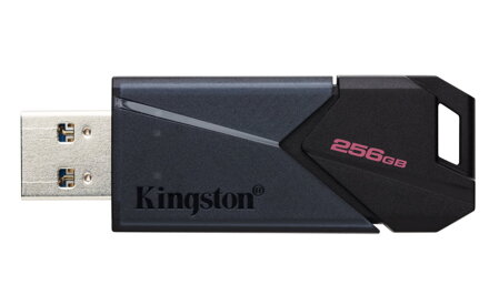 Kingston Exodia Onyx USB 256GB 3.2 DT