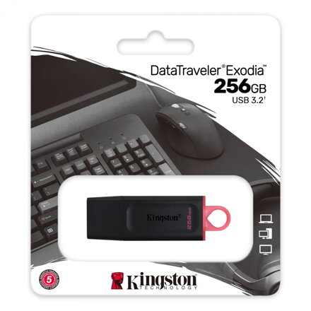 KINGSTON 256GB USB 3.2 Gen1 DataTraveler Exodia Black + Pink