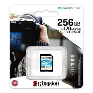 Kingston  SDXC  256 GB  U3 V30 170/90MB/s 