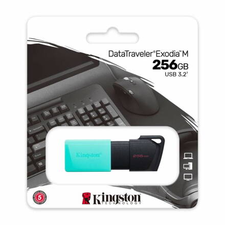 Kingston Exodia M USB 256GB Data Traveler USB 3.2 Gen1
