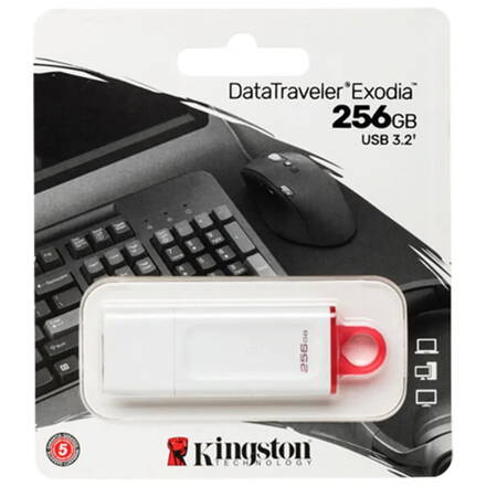 KINGSTON 256GB USB 3.2 Gen1 DataTraveler Exodia white