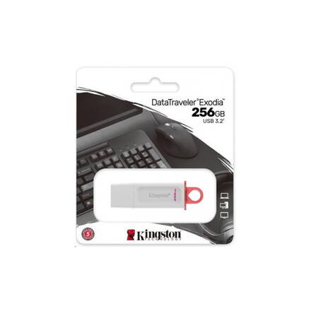 KINGSTON 256GB USB 3.2 Gen1 DataTraveler Exodia white